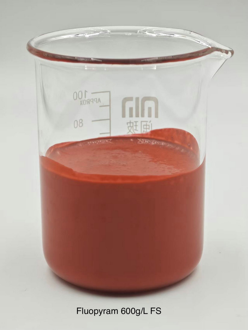 Fluopyram 600g/L FS